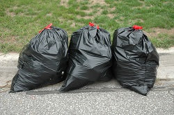 tw9 rubbish collectors in richmond
