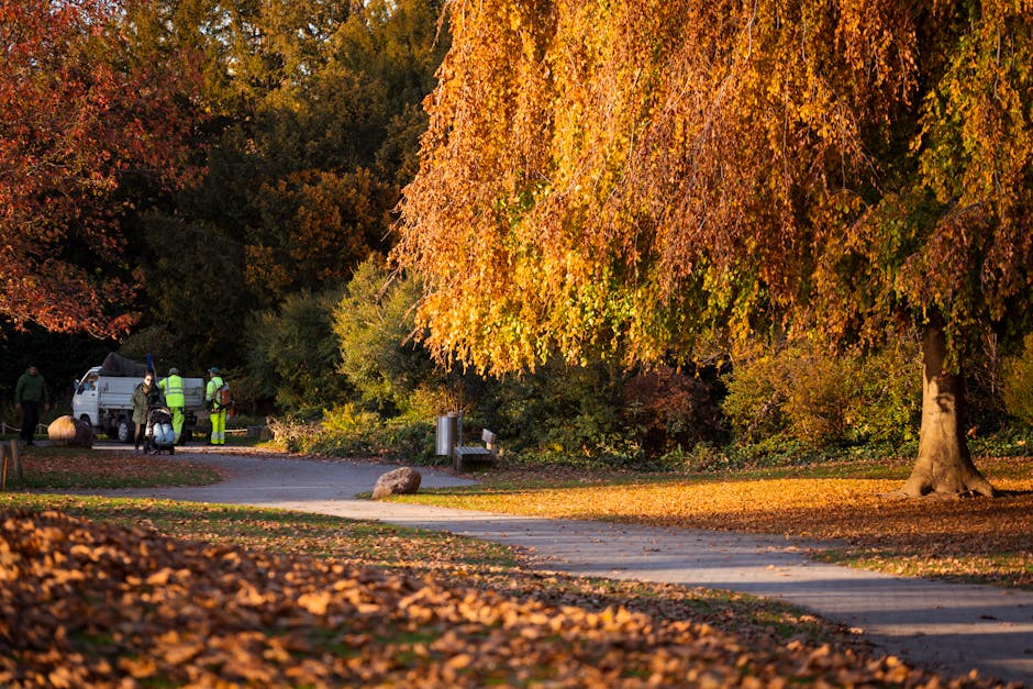 In a park setting during autumn, a small white van with open rear doors is parked on a paved pathway, adjacent to a group of three individuals dressed in high-visibility vests and outdoor clothing, engaged in waste collection or clearance activities. The scene is surrounded by vibrant foliage with large deciduous trees displaying rich shades of orange, yellow, and red leaves, some fallen leaves scattered across the ground and pathway. A large mossy stone and a metal bench are visible along the pathway, which curves gently through the park. In the background, dense greenery and trees create a lush backdrop, with sunlight casting warm, golden tones across the scene. The atmosphere appears calm and organized, emphasizing an outdoor rubbish removal or garden waste clearance operation, reflecting the type of service offered by Rubbish Removal Richmond in private or alternative waste handling contexts.